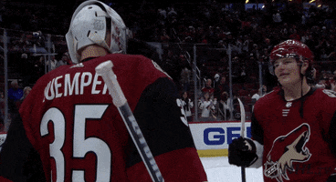 Ice Hockey Hug GIF by NHL