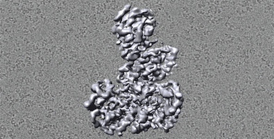 harvardmed science research harvard medical school GIF
