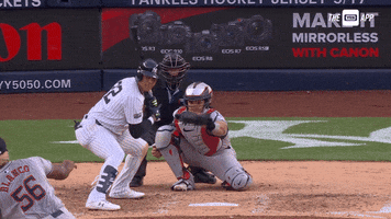 Baseball No GIF by YES Network