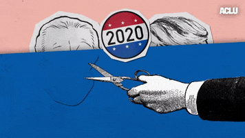Voting Election 2020 GIF by ACLU
