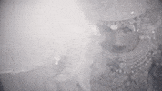 elephantHhart music heart edm elephant GIF