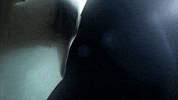 Art Bird GIF by Woodblock