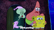 season 9 GIF by SpongeBob SquarePants