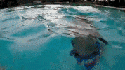 Kids Swimming GIF by Frogglez Goggles