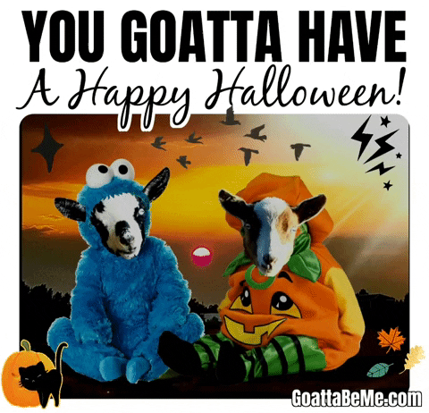 Trick Or Treat Halloween Costumes GIF by Goatta Be Me Goats! Adventures of Java, Toffee, Pumpkin and Cookie!