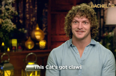 bachelorau GIF by The Bachelor Australia