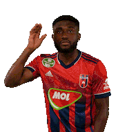 molfehervarfcgif vidi szekesfehervar fehervar molfehervarfc Sticker