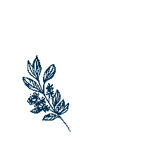 MaisonBarbillon flower drawing grenoble maisonbarbillon Sticker