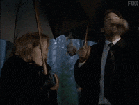 x files GIF by The X-Files