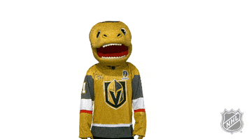 Confused Ice Hockey GIF by NHL