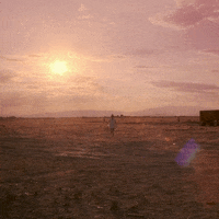 Adult Swim Reaction GIF by Alan Resnick