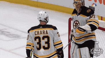 ice hockey good job GIF by NHL