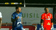GIF by TD Más