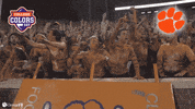 Excited College Sports GIF by College Colors Day