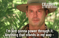Imacelebrityau GIF by I'm A Celebrity... Get Me Out Of Here! Australia