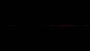 GIF by Forest Park Forever