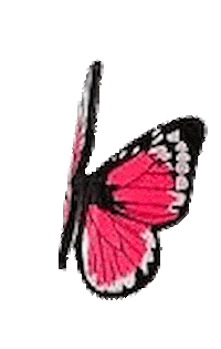 Swxmas Sticker by Sophia Webster