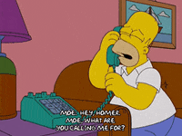 homer simpson GIF