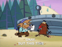 nickrewind nicksplat angry beavers GIF