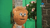 Happy Toys GIF by Mola TV Kids
