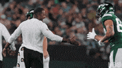 High Five Season 20 GIF by NFL
