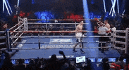 technical knock out top rank GIF by Top Rank Boxing