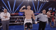 technical knock out top rank GIF by Top Rank Boxing