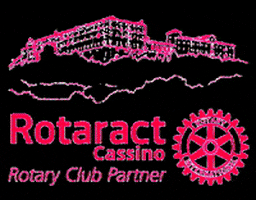rotaract_cassino giphyupload rotaract cassino rotaractinternational GIF