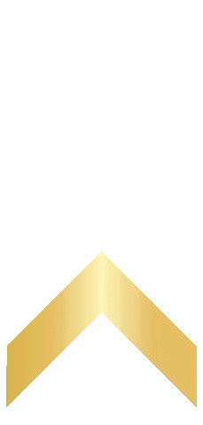 Arrows Sticker by Go Juice Energy