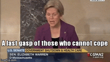 government shutdown elizabeth GIF