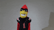 Dunno What GIF by Ball State University