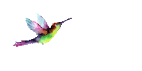 babbeltjeva virtueel assistent babbeltjeva Sticker