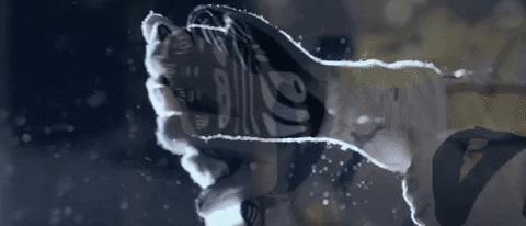 Racing Women In Motorsport GIF by W Series