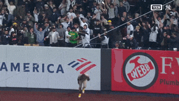 Celebrate New York Yankees GIF by MLB