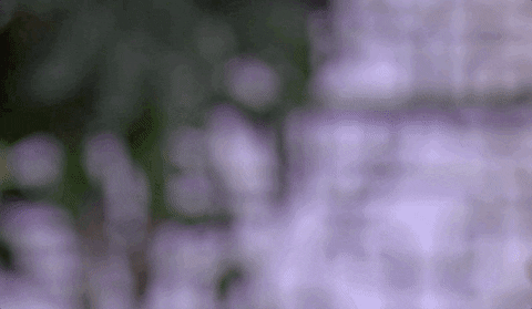 Celebrate Young And Restless GIF by CBS