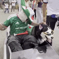 Viva Mexico Soccer GIF by SWAGGY WOLFDOG