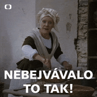 Ceska Televize GIF
