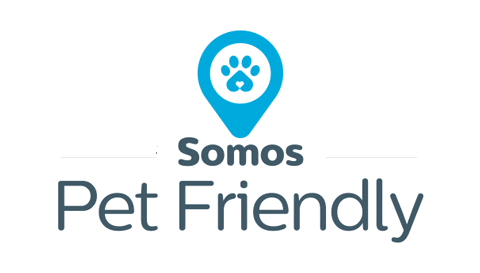 NoveyPanama giphyupload dog panama tienda Sticker