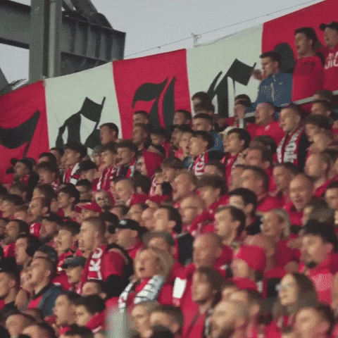 Football Soccer GIF by Widzew Łódź