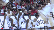 excited cincinnati bearcats GIF by University of Cincinnati Athletics