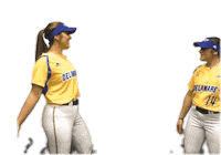 College Sports Fun Sticker by Delaware Blue Hens