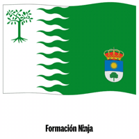 Flag Spain GIF by Formación Ninja