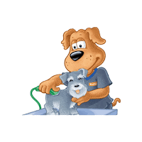 Cat Grooming Sticker by Kanú Mascotas