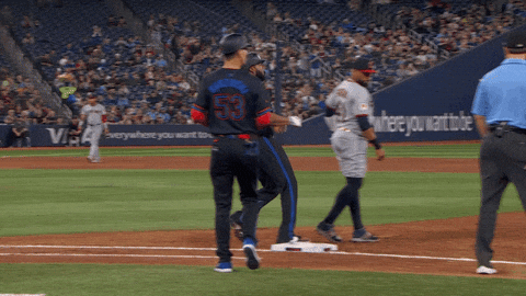 Blue Jays Baseball GIF by Toronto Blue Jays