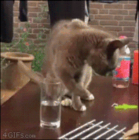 GIF by Demic