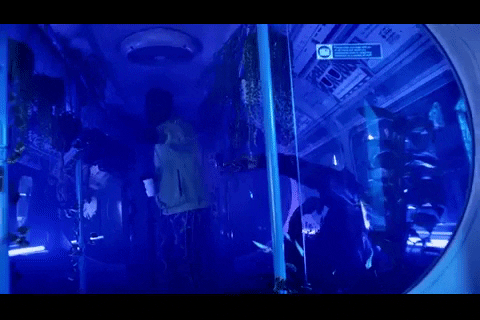 london nigeria GIF by Universal Music Africa
