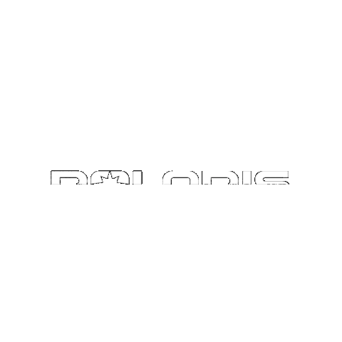 Brand Sticker by Polaris RZR