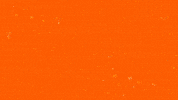 Day GIF by Flint Firebirds