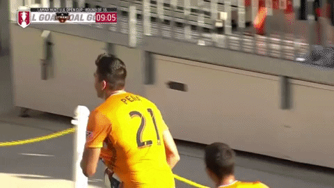 Major League Soccer Football GIF by Houston Dynamo