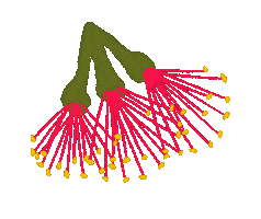 Merry Christmas Maori Sticker by Norriseph